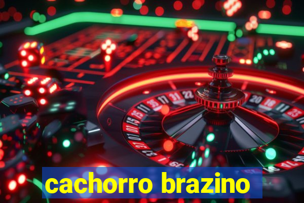 cachorro brazino